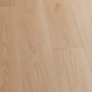 Take Home Sample - French Oak Astoria 20 MIL x 9.1 in. x 11.75 in. Click Lock Waterproof Luxury Vinyl Plank Flooring