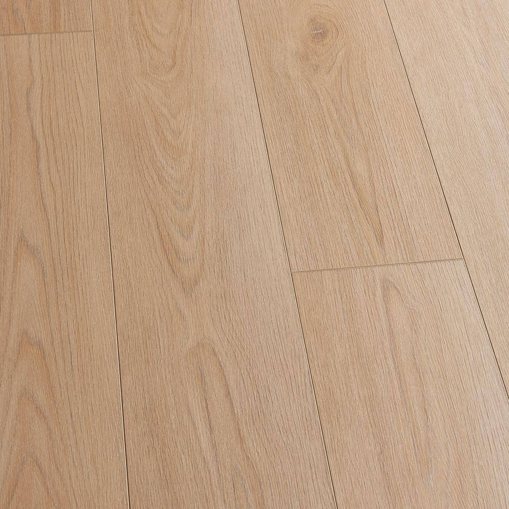 Malibu Wide Plank French Oak Astoria 20 MIL 9.1 in. x 60 in. Click Lock Waterproof Luxury Vinyl Plank Flooring (30.5 sq. ft./case) CXS