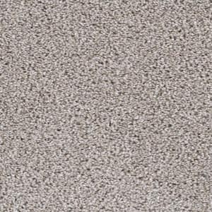 Delight II - Elated - Beige 65 oz. SD Polyester Texture Installed Carpet