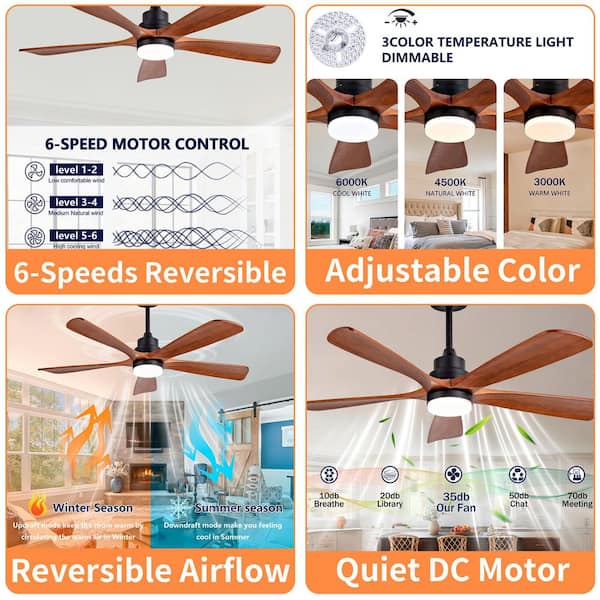 52 in. Modern Noiseless Downrod Mount Ceiling Fan with Lights and Remote, 5 Solid Wood Blades, Reversible DC Motor