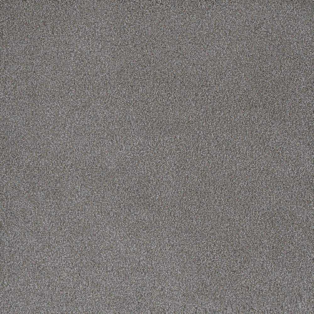 8 in. x 8 in. Texture Carpet Sample - First Class I -Color Faith price history on PriceWatchPro