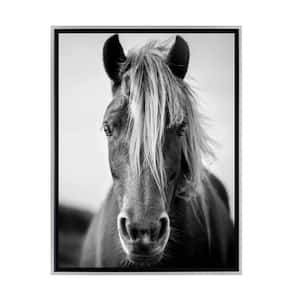 Black and White Wild Horse Framed Canvas Wall Art - 16 in. x 24 in. Size, by Kelly Merkur 1-pc Champagne Frame