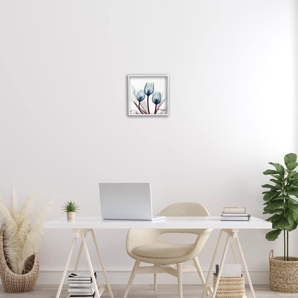Chic Blue Translucent Tulips by Albert Koetsier White Framed Nature Giclee Art Print 12 in. x 12 in. price history on PriceWatchPro