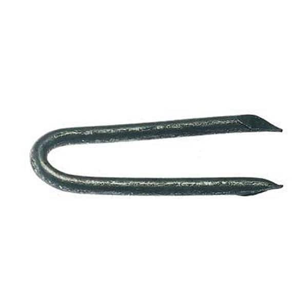 Grip-Rite 1-1/2 in. x 1/4 in. 9-Gauge Exterior Galvanized Smooth Shank Staples 30 lb. Box
