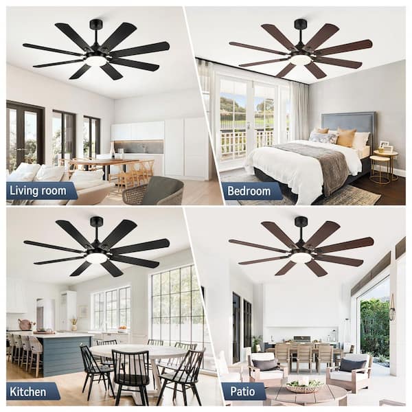 62 in. Outdoor/Indoor Black Downrod Mount Ceiling Fan with Light, Dual-Finish Blades, Remote Control, for Living Room