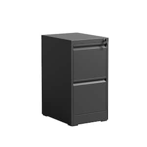 14.96 in. W x 17.72 in. D x 28.78 in. H in Black Assembled Flex Wall Cabinet with 2 Drawer