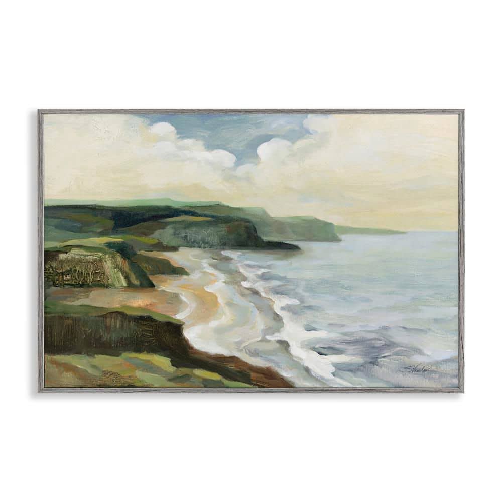 Irish Coast Cliffs by Silvia Vassileva Gray Framed Giclee Art Print Nature 12 in. x 18 in. price history on PriceWatchPro