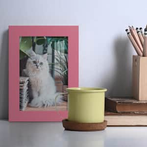 Modern 4 in. x 6 in. Hot Pink Picture Frame (Set of 2)