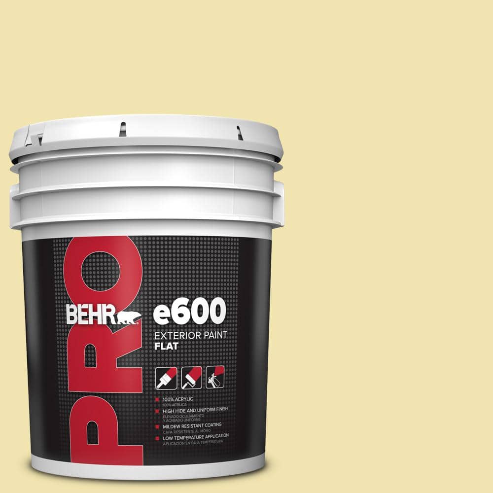 5 gal. #P330-2 Lime Bright Flat Paint price history on PriceWatchPro