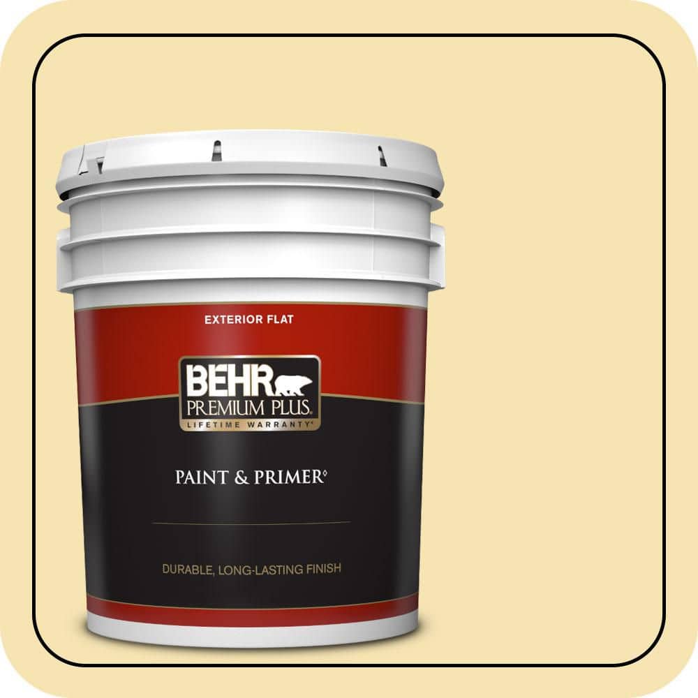5 gal. #370C-3 Sweet Corn Flat Exterior Paint & Primer product image for price tracking