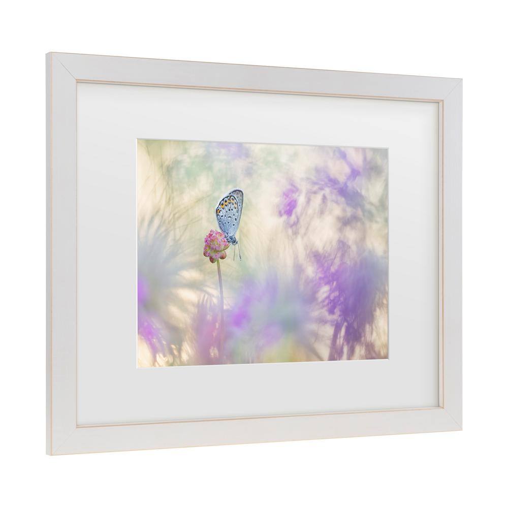 Henrik Spranz Butterfly on Pink Flower Framed Canvas Art