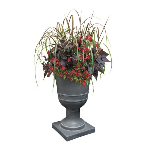 16 in. Norwich Dark Grey Resin Urn Planter