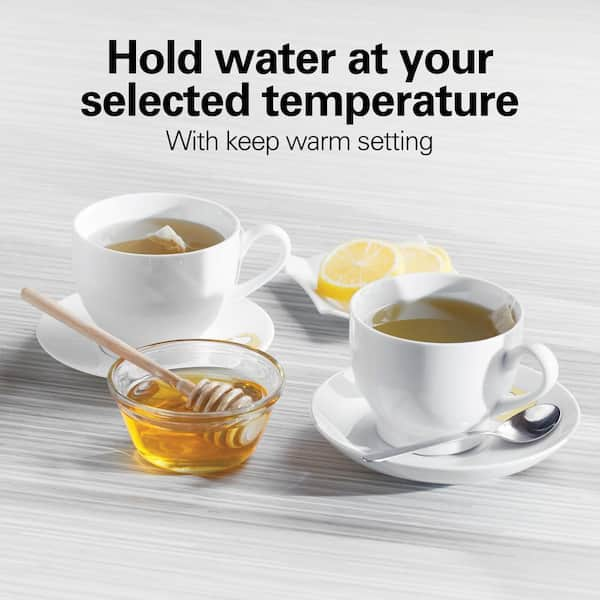 Variable temperature cheap tea kettle