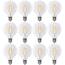 Feit Electric 40-Watt Equivalent G25 Dimmable Filament ENERGY STAR ...