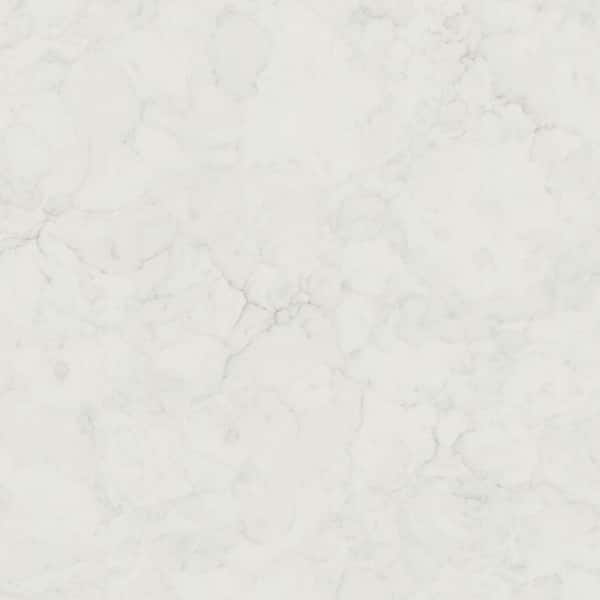 5 in. x 7 in. Quartz Countertop Sample in Calacatta Fioressa