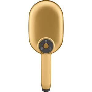 Statement 3-Spray Patterns with 2.5 GPM 3.63 in. Wall Mount Handheld Shower Head in Vibrant Brushed Moderne Brass