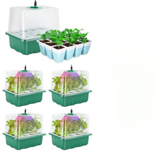 60 Flexible Cells Seedling Starter Trays with Humidity Dome and High Lid, Seed Starter Tray with Grow Light (5-Pack)