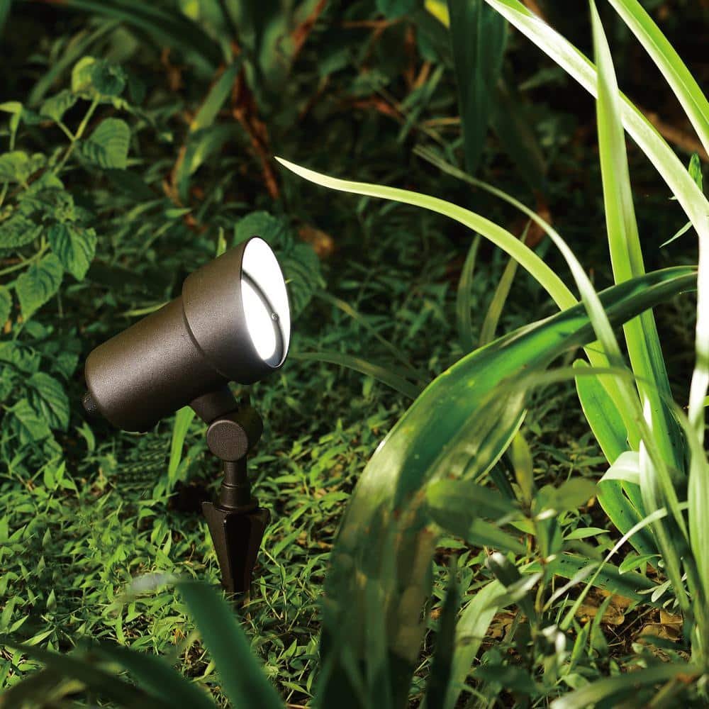Black Aluminum Low-Voltage LED Outdoor Flood Light