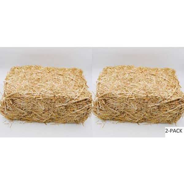 BELL NURSERY Mini Straw Bales (2-Pack) STRAWMINI2PK - The Home Depot