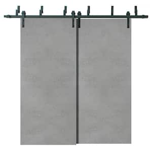 0010 48 in. x 80 in. Flush Concrete Finished Pine Wood Sliding Door with Barn Bypass Hardware