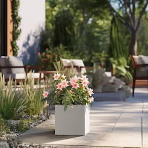 Modern 12 in. High Large Tall Square Crisp White Outdoor Cement Planter Plant Pots