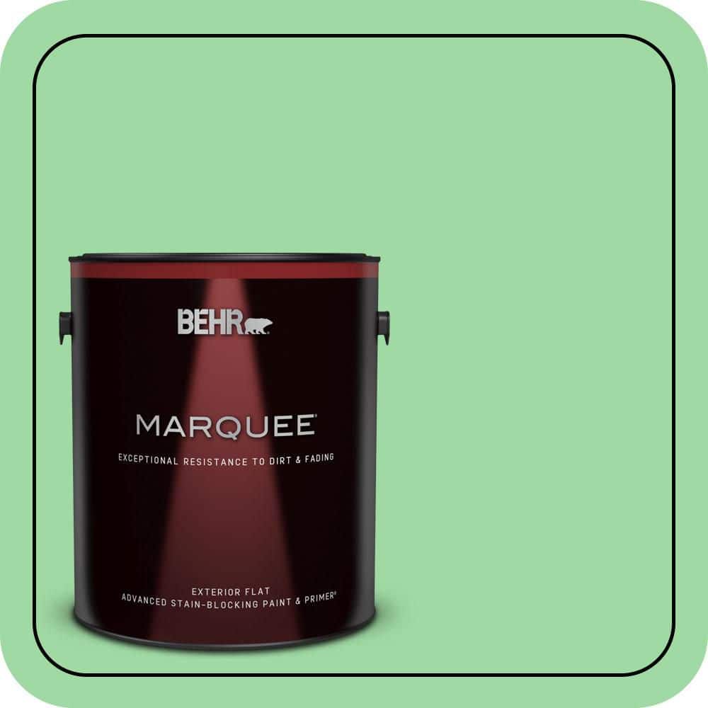 1 gal. #450B-4 Green Trance Flat Exterior Paint & Primer price history on PriceWatchPro