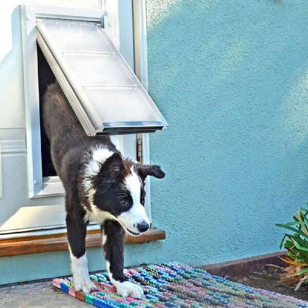 Endura shop dog door