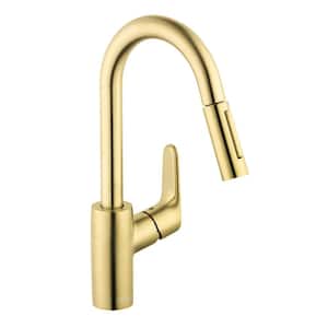 Focus Single-Handle Pull Down Sprayer Kitchen Faucet with QuickClean in Brushed Gold Optic