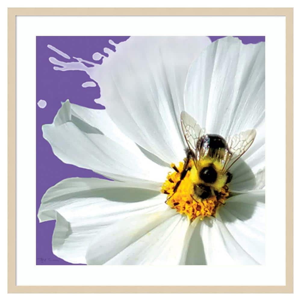 Flower Pop IV by Marie Elaine Cusson Framed Graphic Art Print