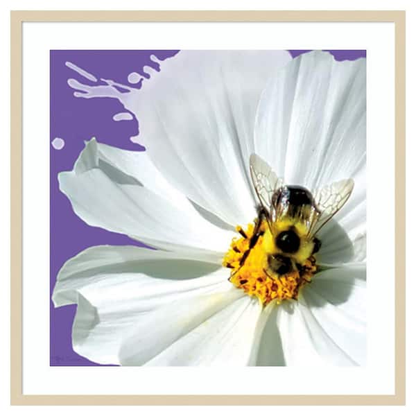 Amanti Art Flower Pop IV by Marie Elaine Cusson 33 in. W x 33 in. H. Wood Framed Wall Art Print Framed in Brown