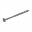 #8 x 2 in. Phillips Bugle-Head Coarse Thread Sharp Point Polymer Coated Exterior Screws (1 lb./Pack)
