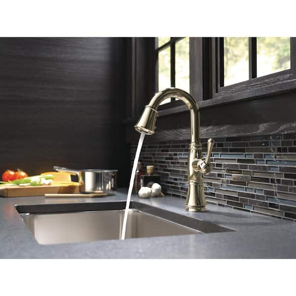 Delta TRINSIC Single Handle Pull-Down Kitchen Faucet with Touch2O  Technology- Champagne Bronze