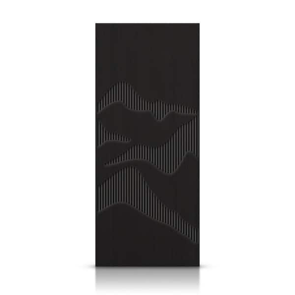 CALHOME 24 in. x 80 in. Hollow Core Black Painted Composite MDF Interior Door Slab