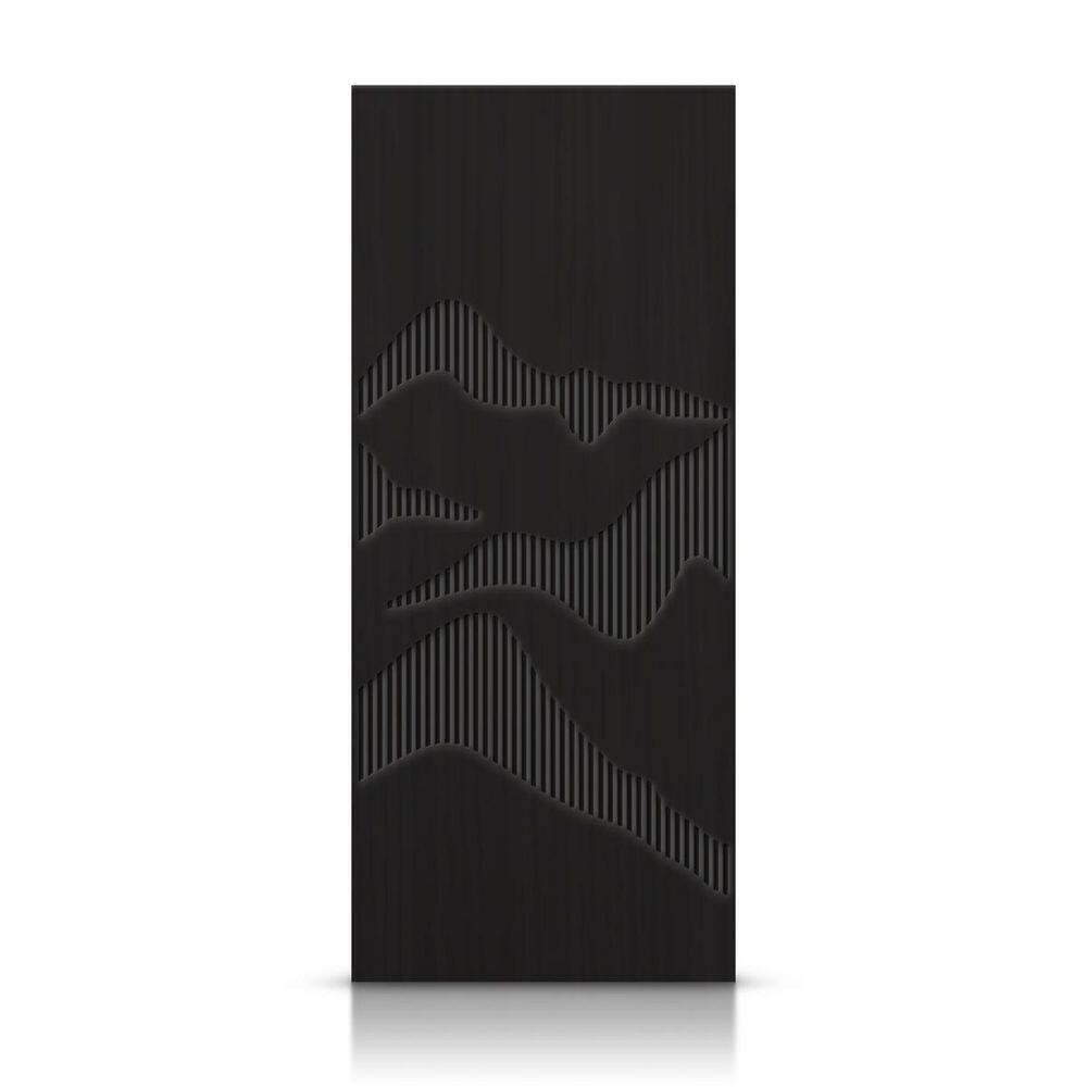42 in. x 96 in. Hollow Core Black Painted Composite MDF Interior Door Slab price history on PriceWatchPro