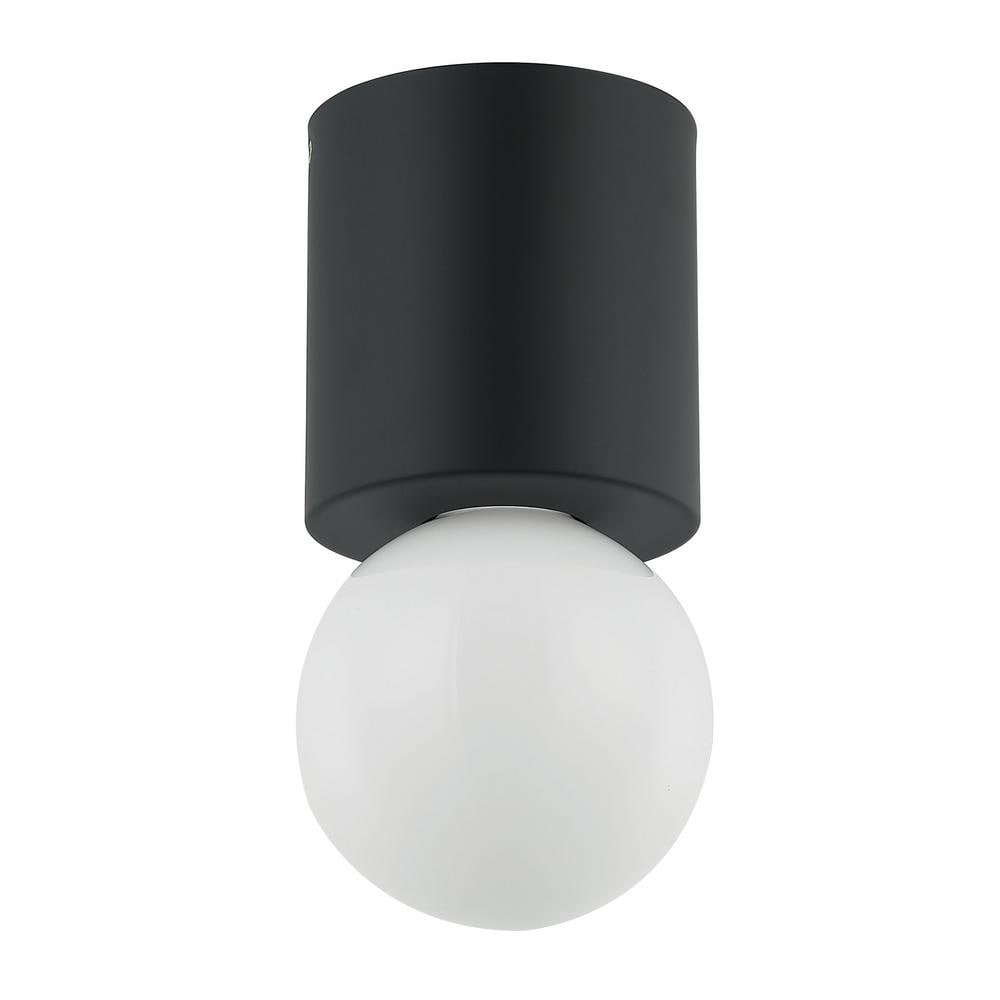Matte Black Globe Glass Indoor/Outdoor Ceiling Light
