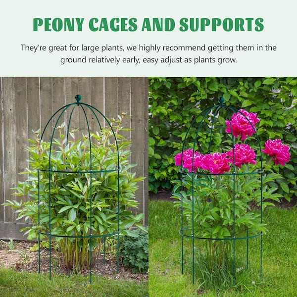 Birdcage Style Plant Support 31.5 in. Sturdy Grow Through Steel Trellis, Green