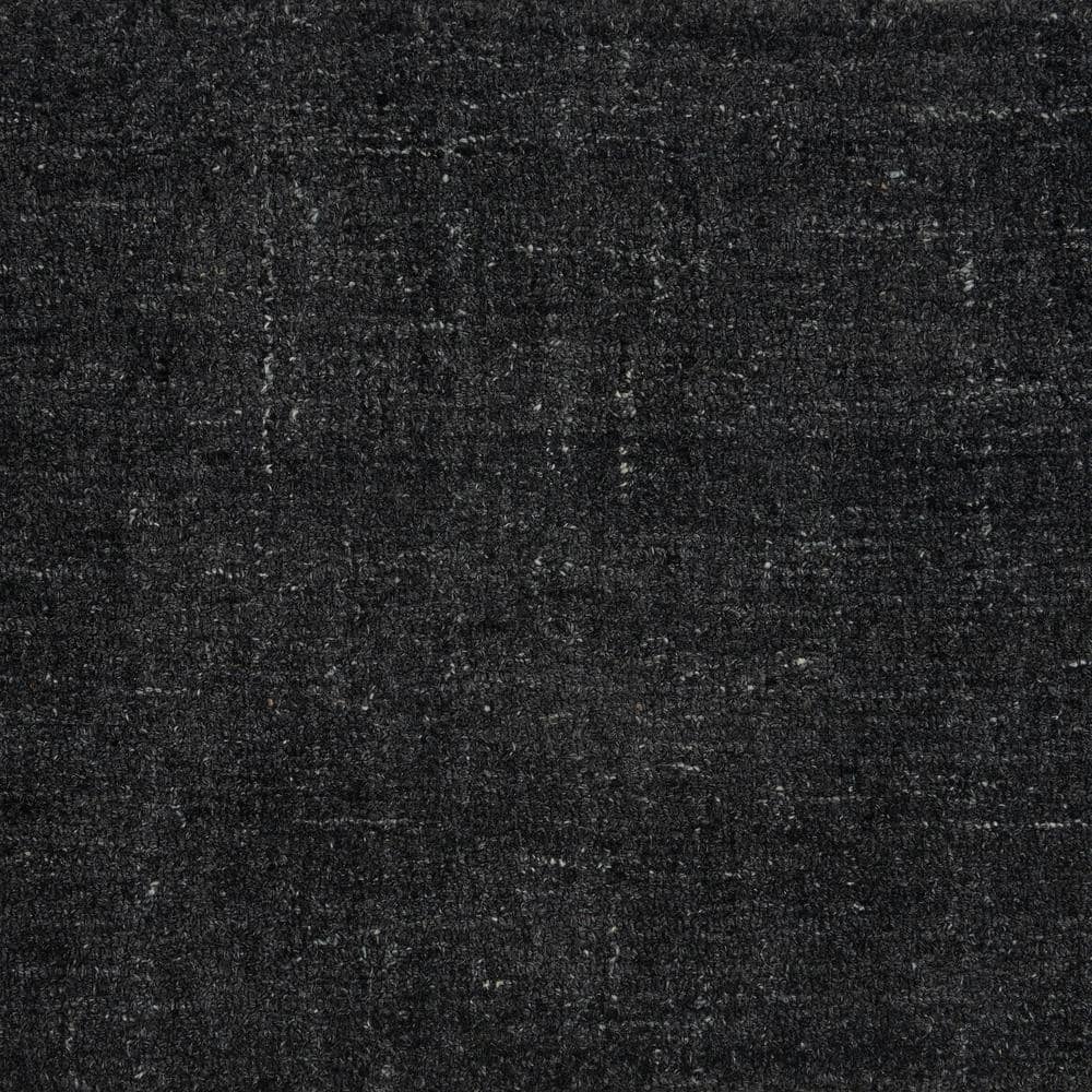 6 in. x 6 in. Texture Carpet Sample - Surface - Color Mineral price history on PriceWatchPro