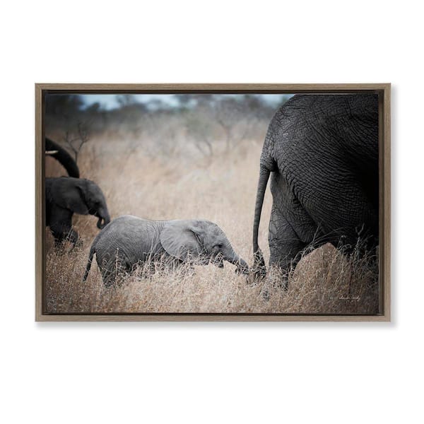 Stupell Industries Baby Elephant Strolling by Sharon Vardy Brown Floater Frame Animal Graphic Art Print 21 in. x 31 in.
