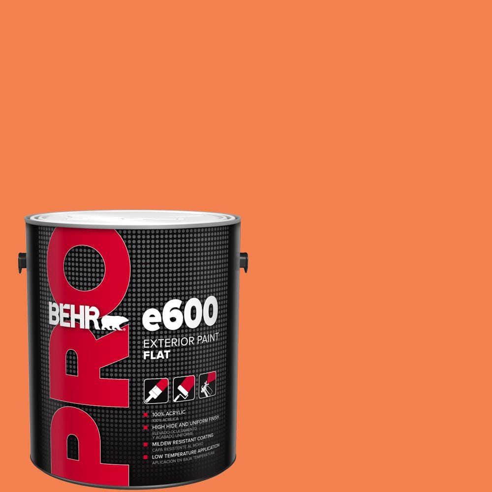 1 gal. #220B-6 Harvest Pumpkin Flat Exterior Paint price history on PriceWatchPro