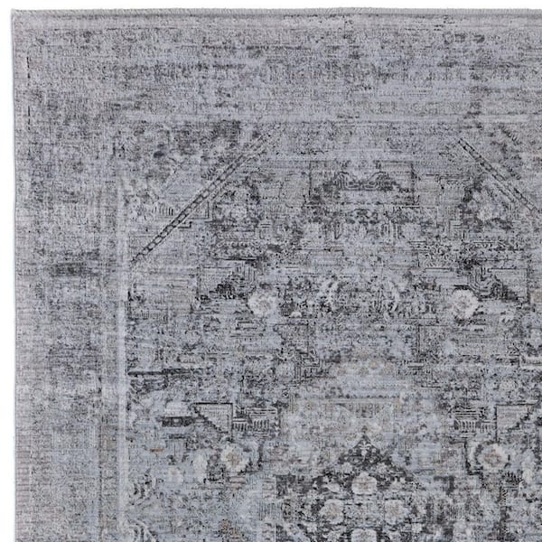 2 ft. x 3 ft. Gray, Silver Oriental Area Rug