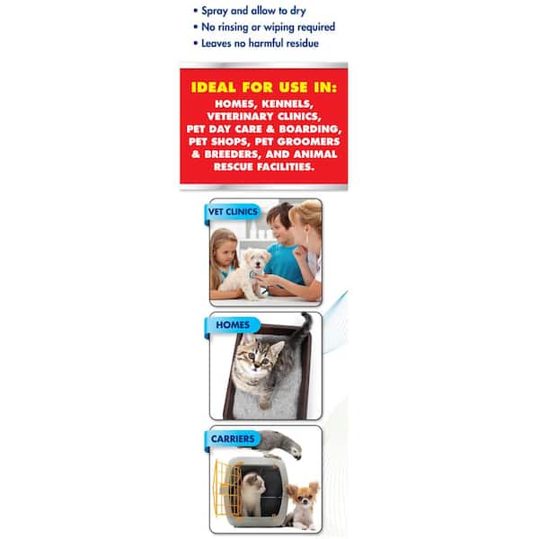 parvo home treatment kit