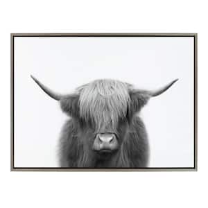 Hey Dude Highland Cow by The Creative Bunch Studio Framed Animal Canvas Wall Art Print 38.00 in. x 28.00 in.