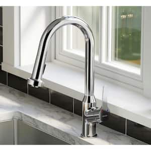 Dockton Single Handle Pull Down Sprayer Kitchen Faucet in Polished Chrome