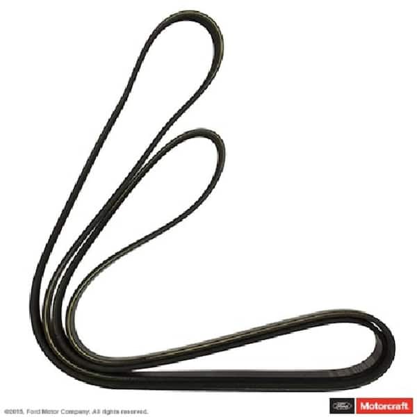 Serpentine Belt