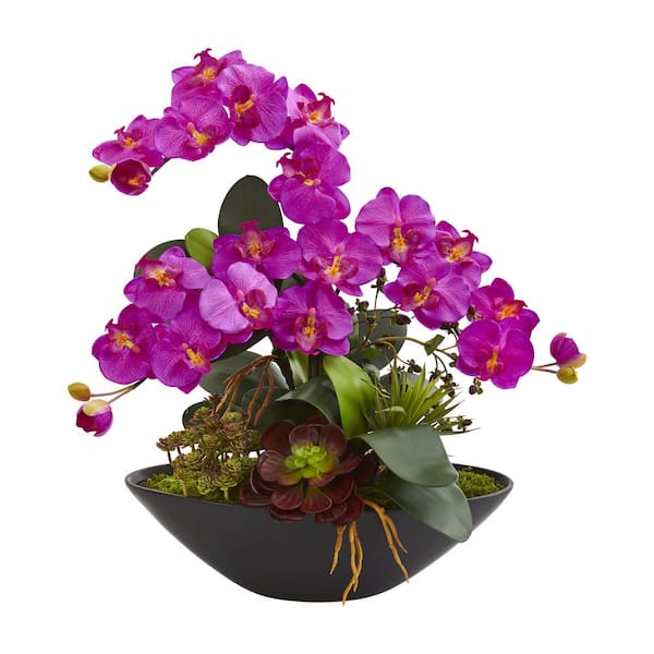 Nearly Natural Indoor Phalaenopsis Orchid and Mixed Succulent Garden Artificial Arrangement in Black Vase