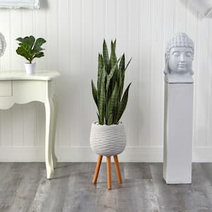 46 in. D Sansevieria Artificial Plant in White Planter with Stand