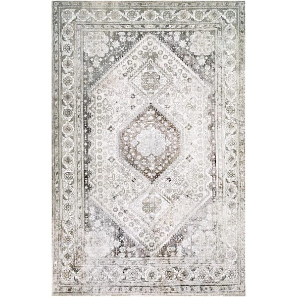 Denna Gray 2 ft. x 4 ft. Indoor Area Rug