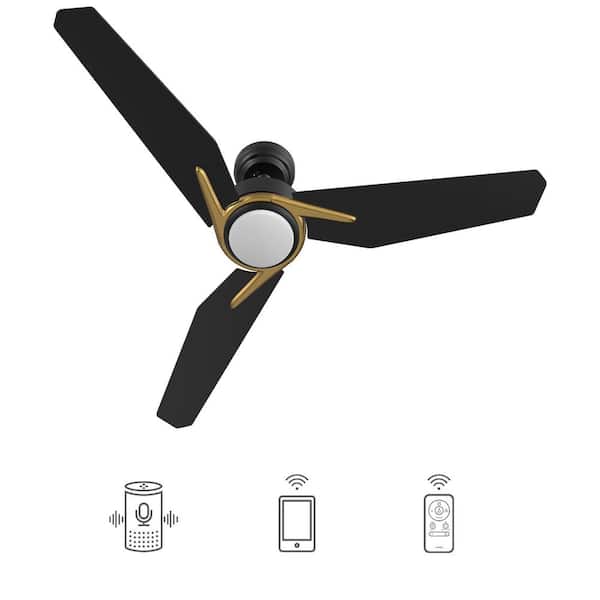 CARRO Tilbury 48 in. Integrated LED Indoor/Outdoor Black Smart Ceiling Fan with Light and Remote, Works with Alexa/Google Home