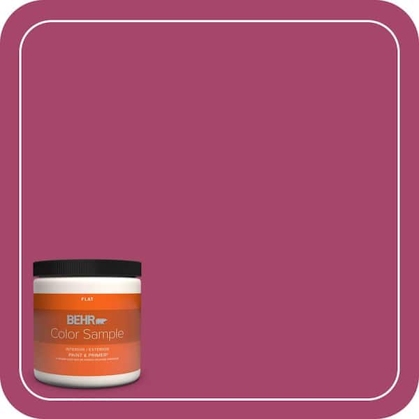 BEHR PREMIUM PLUS 8 oz. Home Decorators Collection #HDC-SM14-1