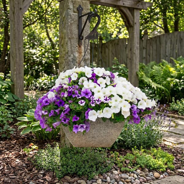 Kawahara Nurseries 12 in. Misty Seas PW Combo Annual Plant